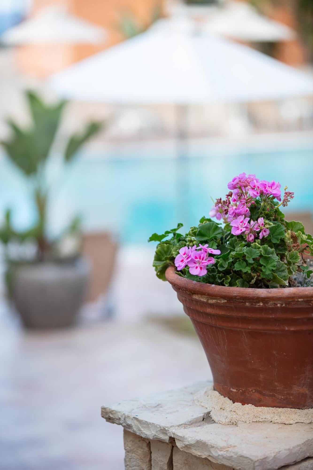 הרסוניסוס Dia Apartments מראה חיצוני תמונה